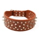 thumbnail image 1 of Un collar para perros con púas, adecuado para perros grandes y medianos,, 1 of 5