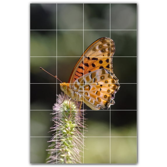 Picture-Tiles.com: Butterfly Ceramic Tile Wall Mural WAL500305-46XL. 48"W x 72"H using (24) 12" x 12" Ceramic Tiles-Satin Finish