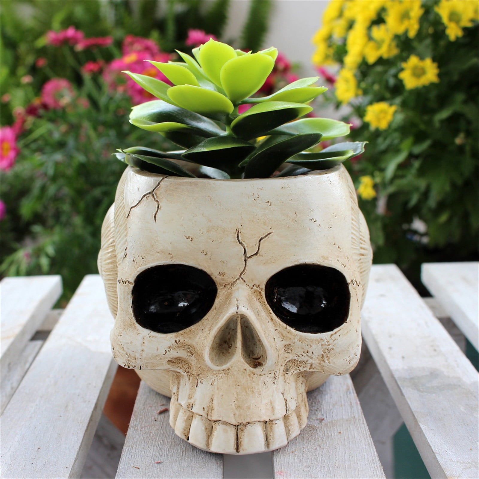 ACQ鉢　scull head ACQ鉢 scull head