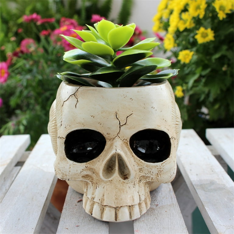 Skull Planter Pots for Indoor Plants, 3.62*4.33*5.31 Inch
