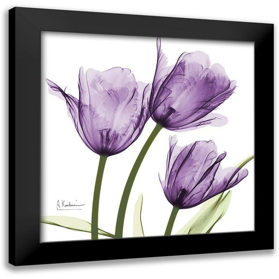 Koetsier, Albert 12x12 Black Modern Framed Museum Art Print Titled - Purple Trio Tulips