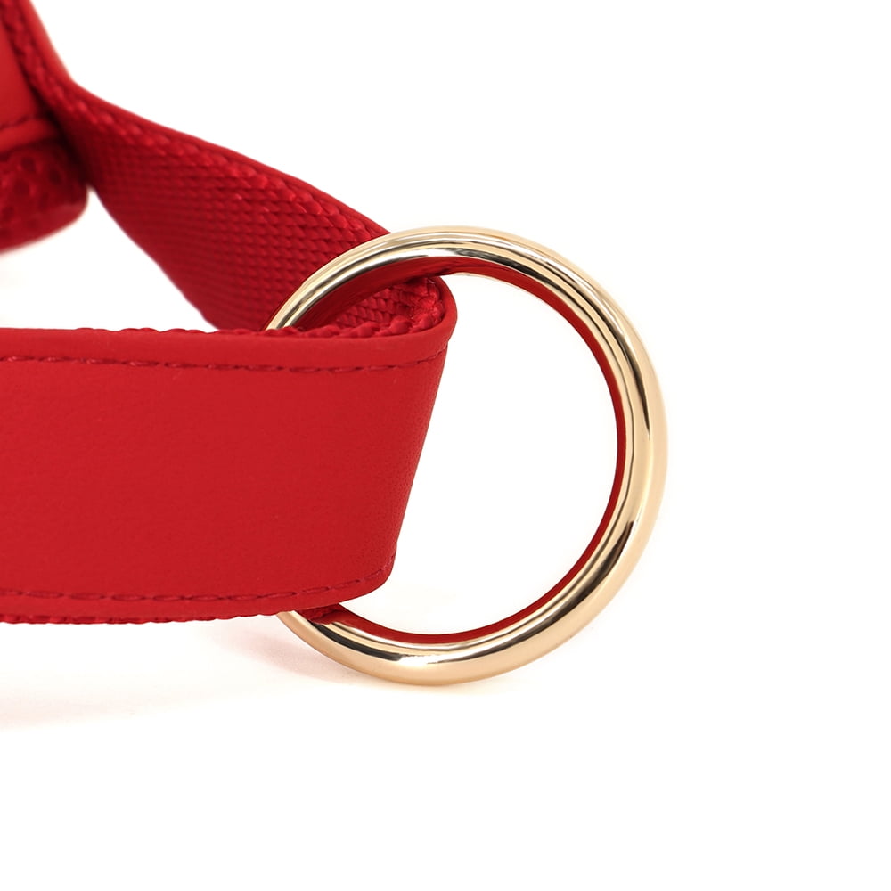 Didog No Pull Dog Harness Personalized Name Buckle Engraved Breathable Mesh Red Blue