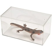 Pioneer Plastics 083CAQUA Clear Micro Habitat Terrarium، Tarantula Enclosure، Desktop Aquarium، 7.75 W x 3.75 D x 3.75 H