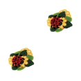 thumbnail image 1 of Sonducket Hook Carpet Kit Butterfly Shaped Kit Yarn Rug Crochet DIY for Beginner Tipo 3 52 cm x 38 cm 2Conjunto, 1 of 6