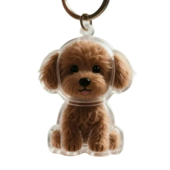 Dog Hair Collector Keychain - Pet Hair Memorial Keychain, Cute Keychain and Storage Box, for Dog Lovers and Indoor Hanging