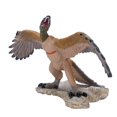 thumbnail image 1 of Archaeopteryx Dinosaur Toy Realistic Dinosaur Lifelike High Detailed Educational Figurine Dino Model for Children, 1 of 4