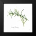 thumbnail image 2 of Paschke, Chris 15x15 Black Modern Framed Museum Art Print Titled - Variegated Rosemary v2, 2 of 5