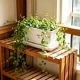 thumbnail image 4 of Rectangular Planter Box for Outdoor and Indoor Vegetable Gardening, Window Box Planter 12.32 x 5.12 x 5.47 Inch, Balcony Patio Flower Pot for Garden and Windowsill, 4 of 4