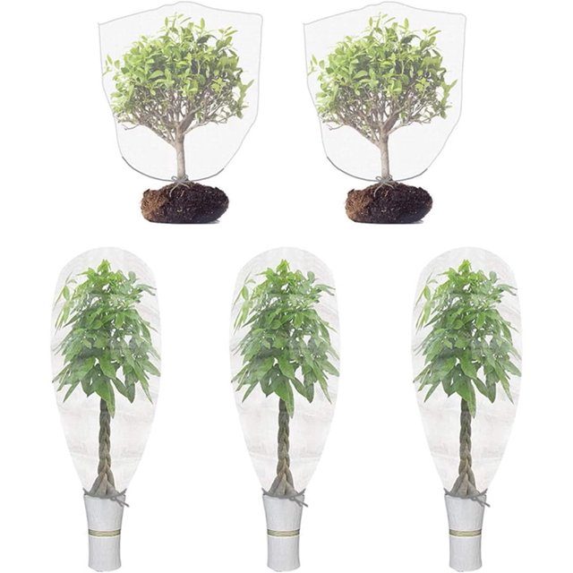 Cubierta de protección de plantas Red de árboles frutales Red de protección contra insectos para jardín, invernadero, plantas, frutas, flores, cultivos -0.8 * 0.8m (paquete de 5) Kuyhfg Bienvenido a Kuyhfg