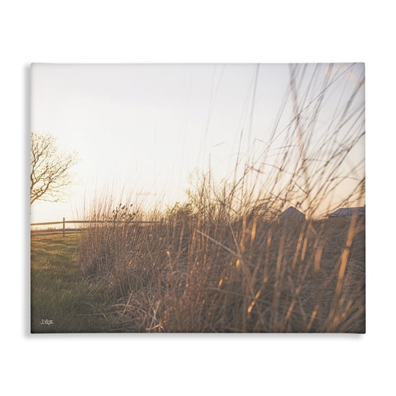 Stupell Industries Transitional Countryside Field Tall Grass Summer Sunshine Rays Canvas Art, 20 x 16, by Donnie Quillen