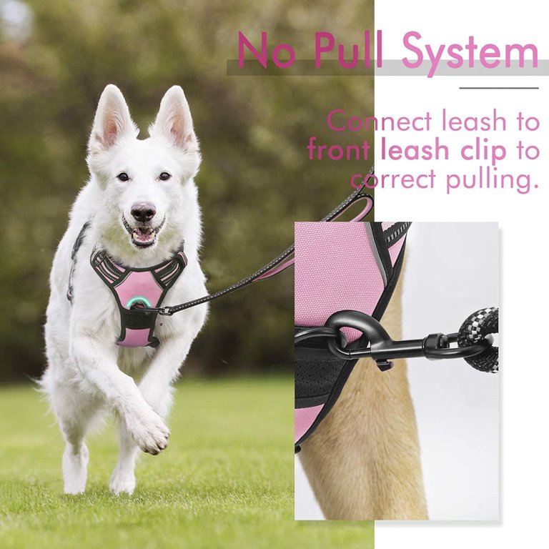 NSXXKJ Dog Harness, No-Pull Pet Harness with 2 Leash Clips