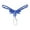 Blue, variant on Breezora Elegant Sheer Embroidered Pearl Accent Massage Open-Back Thong Underwear for Women Comfortable Stretch Design Red