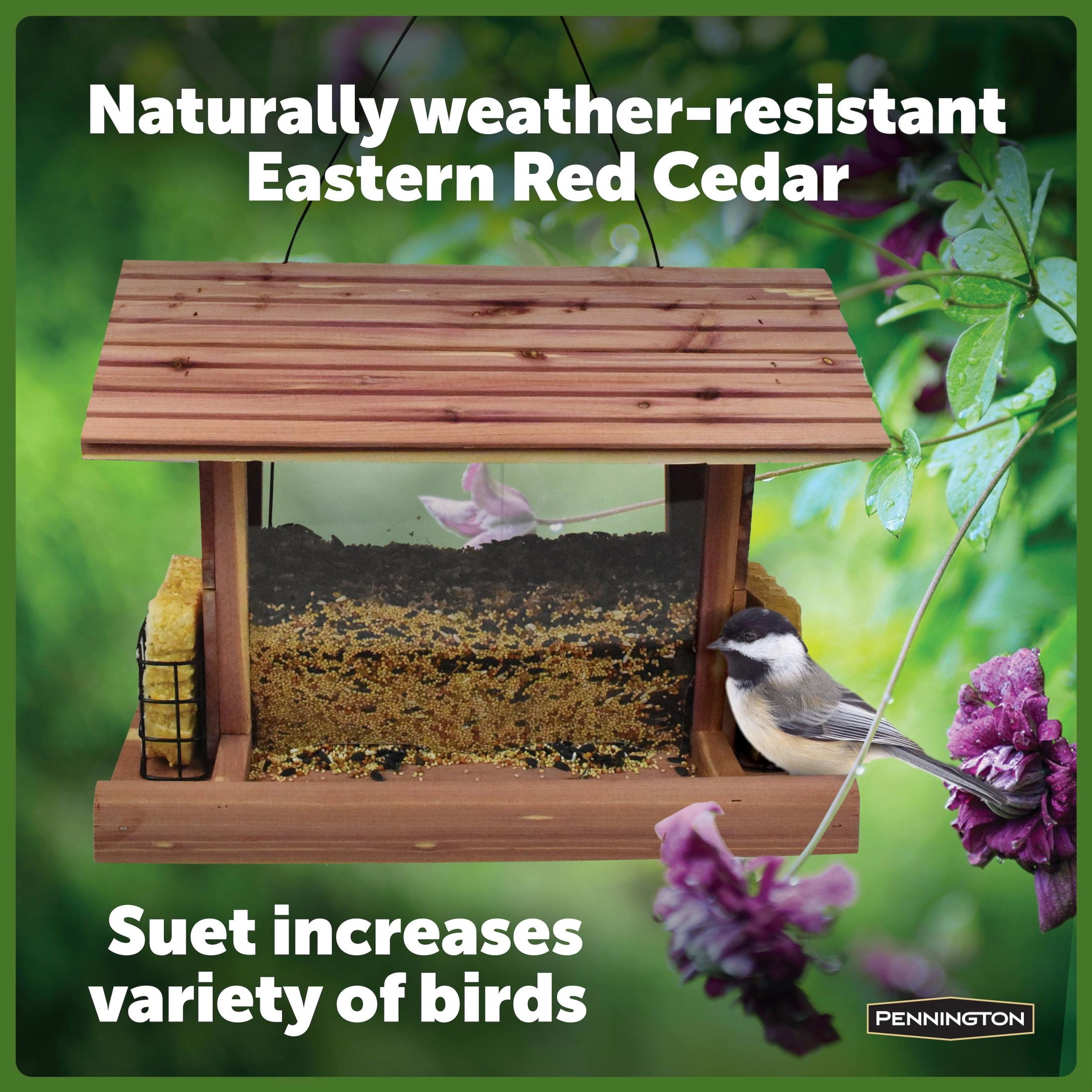 Pennington Cedar Grand Snack Shack Bird Feeder 3.75 Pounds