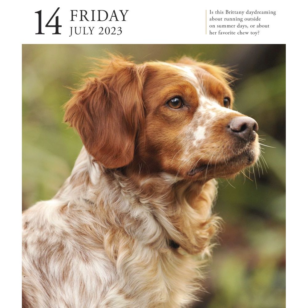 Dog A Day Calendar Page