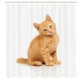 thumbnail image 2 of Ambesonne Cats Funny Shower Curtain, Sitting Red Kitten Print, 69"Wx70"L, Pale Orange Sand Brown, 2 of 4