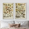 thumbnail image 2 of IDEA4WALL Framed Canvas Print Wall Art Set Mushroom Botanical Fine Art Fungus Molds Yeast Toadstools Pattern Art Farmhouse/Country Wall Decor for Living Room, Bedroom, Office - 24"x36"x2 White, 2 of 5