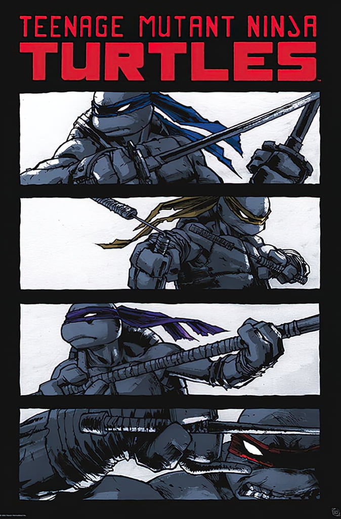 Teenage Mutant Ninja Turtles - TMNT - Comic Poster (The Boys) (Size: 24 ...