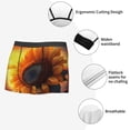 thumbnail image 3 of Pofeuu Sunset Coast Sunflower Print Men’s Boxer Briefs, Moisture-Wicking Underwear, Regular,Trunk-Medium, 3 of 5