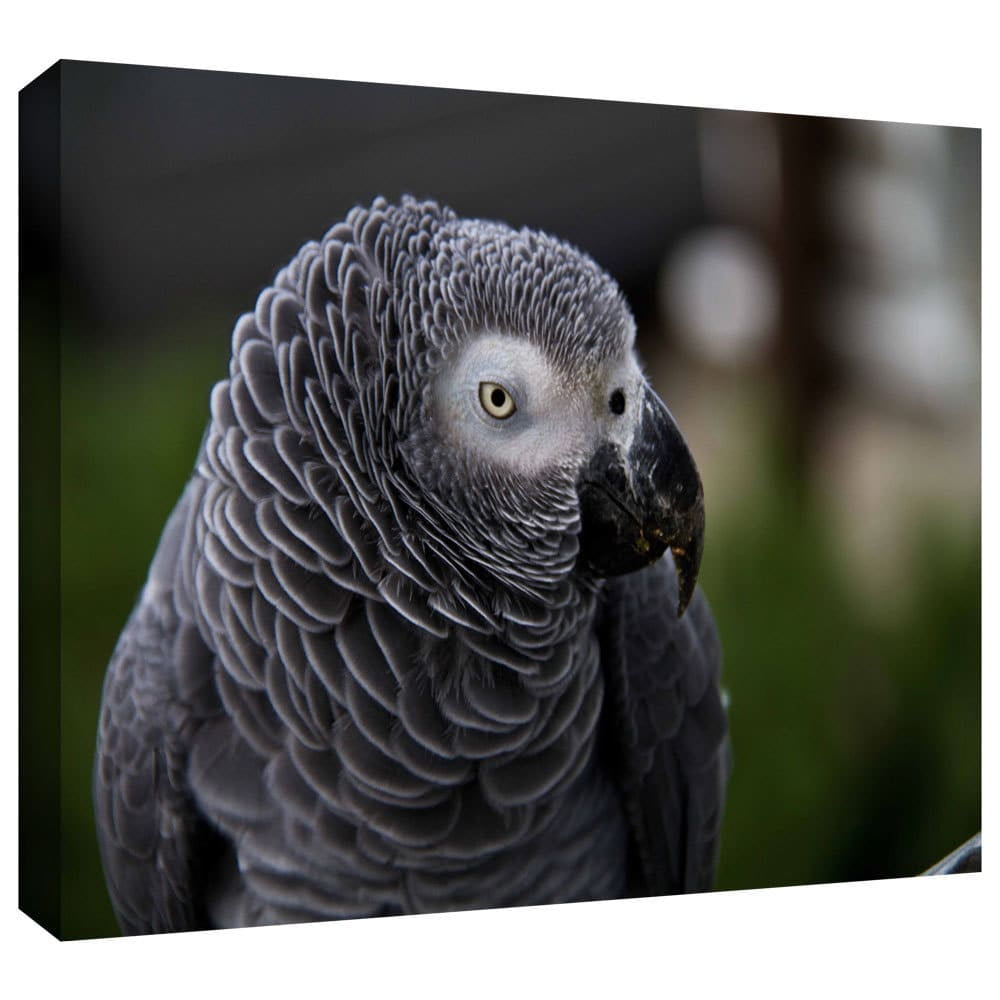 Lindsey Janich "Parrot" Gallery-Wrapped Canvas