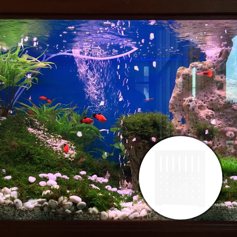 Acrylic Divider Plate for 22 Gallon Bookshelf Aquariums - BLACK