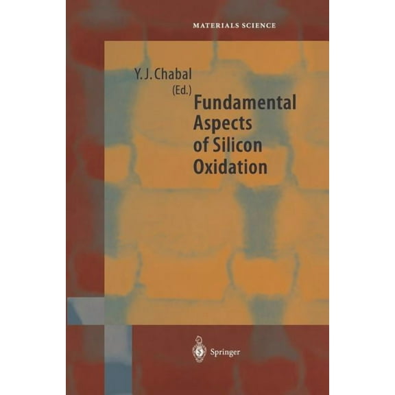 Springer Materials Science Fundamental Aspects of Silicon Oxidation, Book 46, (Paperback)