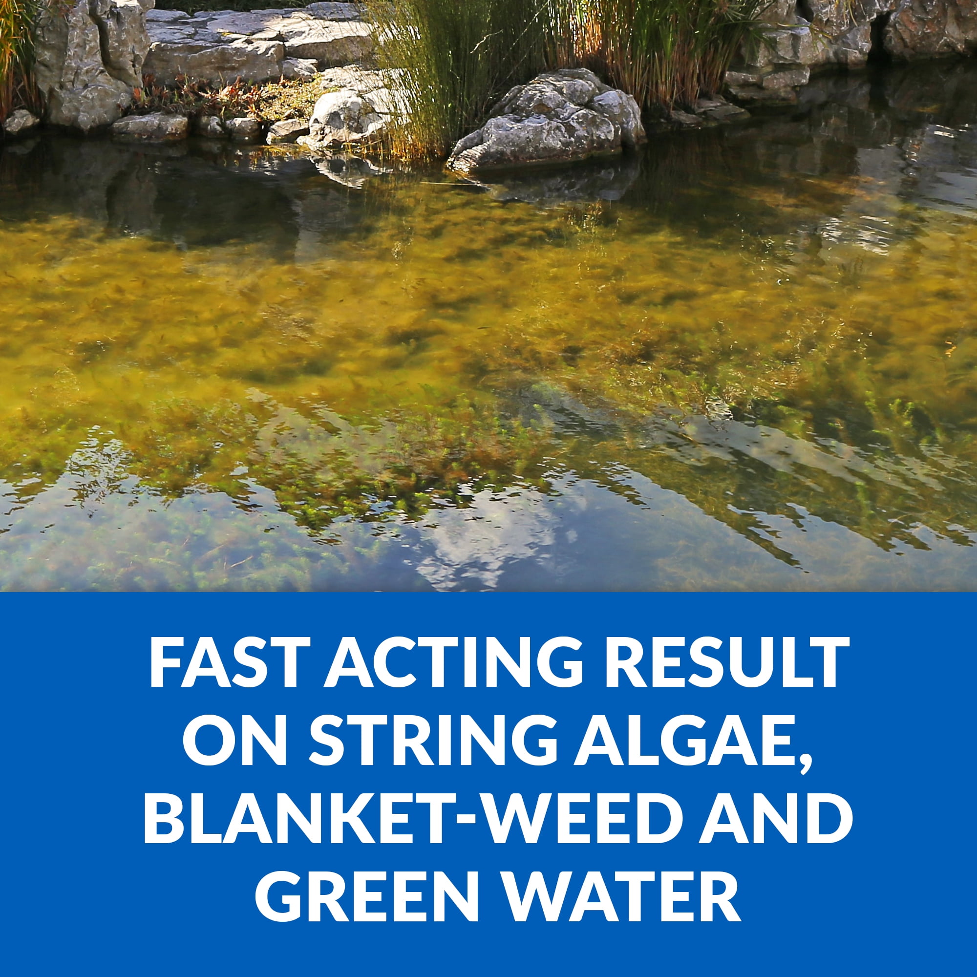 CrystalClear Algae D-Solv EPA-Registered Pond Algaecide, 16 Ounce