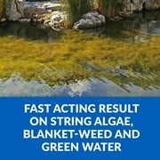 CrystalClear Algae D-Solv EPA-Registered Pond Algaecide, 16 Ounce