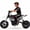 White, variant on 24V Kids Electric Dirt Bike, 350W Battery Powered Motorcycle with 12 Inch Fat Tires Rear Suspension Twist Throttle for Teens