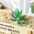 thumbnail image 4 of Coofit Artificial Succulent Realistic Aloe Unpotted Artificial Plant Fake Succulent, 4 of 7