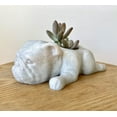 thumbnail image 3 of Doggy Planter  English Bulldog Planter Gift Idea, Bar Decor, Table Decor, Plant Gift Idea, Cute Succulent Planter, any canine/dog/English Bulldog and plant lover! Marbel, 3 of 9