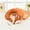 brown, variant on ZToonmas Pillows Animals Shape Cute U-shaped Pillows The Cervical Spine Pillows