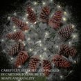 thumbnail image 4 of 11-12cm 6pcs Natural Pine Cones, Large Pinecone,Natural Pinecone Ornaments Big Pinecones for Autumn and Winter Decor, 4 of 5