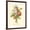 Brown Frame, variant on Art.com Plentiful Bouquet I Art Print by T.L. Prevost, 12" x 16"
