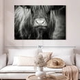 thumbnail image 2 of Elephant Stock Long Haired Highland Cow Wall Art - Horizontal Canvas Wall Art - Living Room Wall Decor - Animal Canvas - Black And Gray Decor - 51" x 34", 2 of 8