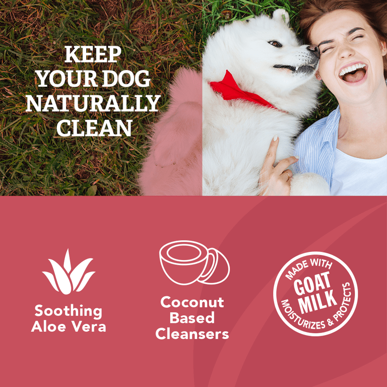 Natural Care Itch Relief Shampoo for Dogs, Tea Tree photo 4
