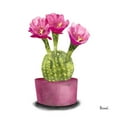 thumbnail image 2 of Bannarot 20x20 Gold Ornate Wood Framed with Double Matting Museum Art Print Titled - Cactus Flowers V, 2 of 4