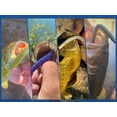 thumbnail image 7 of Senko Worms Bait Set – 4-Inch and 5-Inch Salty Soft Plastic Stick Baits for Bass, 7 of 7