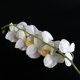 thumbnail image 3 of EeaseMX Orquídea artificial TINKSKY, decoración para el hogar (blanca), 3 of 7