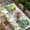 Green Ivory, variant on St. Patrick's Day Table Cloths for 5 Foot Rectangle Tables, Green Truck Clovers Floral Butterfly Wood Patio Waterproof Elastic Fitted Tablecloths, Washable Rectangular Table Cover for Camping