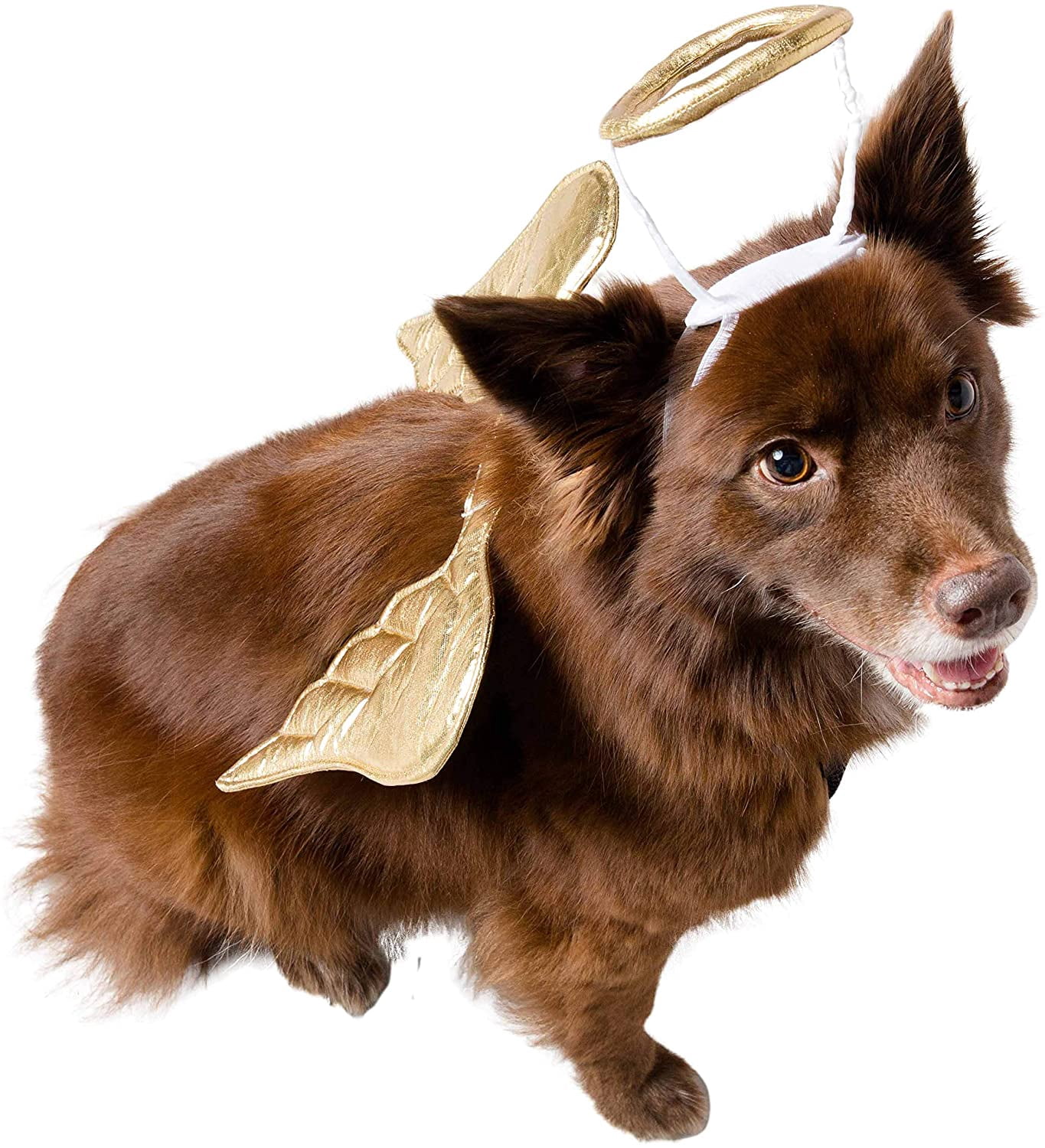 Pet Krewe Angel Dog Costume Wings & Cat Angel Costume Wings - Harness Attachment, One Size Fits All - Perfect for Halloween, Christmas Holiday, Parties, Photoshoots, Gifts for Dog & Cat Lovers