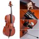 thumbnail image 2 of Violonchelo 4/4 de madera brillante con cuerpo de tilo y diapasón de arce, incluye arco, resina y estuche ideal para estudiantes y principiantes., 2 of 7