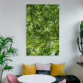 thumbnail image 6 of Tall Green Trees Poster Wall Art Poster Scroll Canvas Painting Picture Living Room Decor Home 08x12inch(20x30cm), 6 of 6