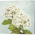 thumbnail image 1 of Hydrangeas III (Aqua) by Remy Dellal, Canvas Wall Art, 24W x 24H, 1 of 2