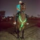 thumbnail image 4 of Greeniant Arnés de caballo fácil de usar con LED, hecho con nailon para un cómodo, seguro y confiable, ajustable Cuidado ecuestre y deportes verde, 4 of 6
