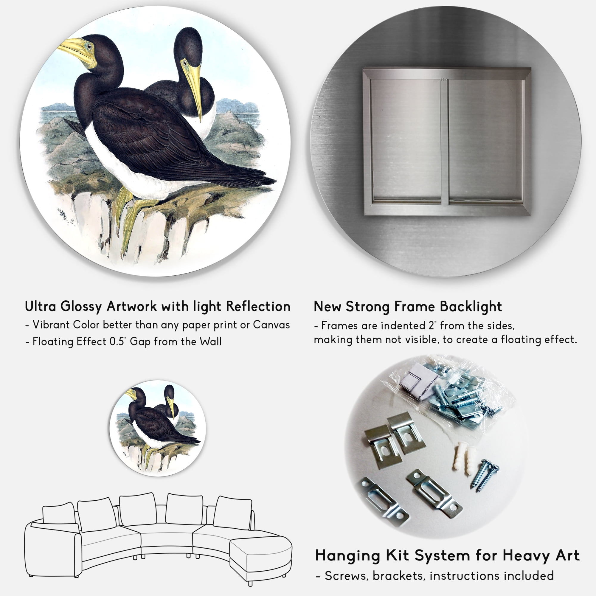 Designart 'Ancient Australian Birds XII' Traditional Circle Metal Wall Art 23x23 - Disc of 23