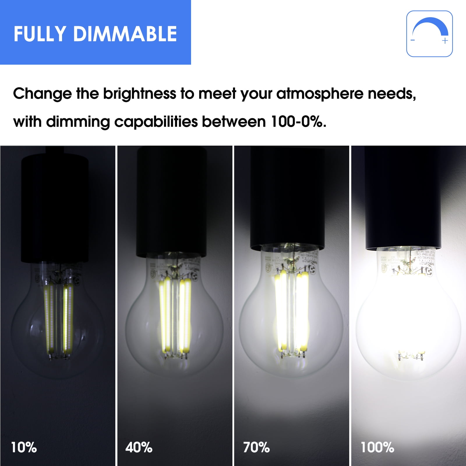 ENERGETIC A19 LED Edison Light Bulb,Dimmable, 100 Watt Equivalent,Daylight 5000K,1600LM,Clear Antique LED Filament Bulb for Home, Bathroom,E26 Base,6 Pack