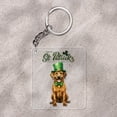 thumbnail image 2 of Happy St. Patrick’s Day Rhodesian Ridgeback with Green Hat Shamrocks Rainbow Acrylic Keychain Ridgebacks Dog Lover Gifts Collar Charm Tag Keyring - 03007, 2 of 5