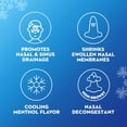 thumbnail image 5 of Mucinex Sinus-Max Nasal Spray Decongestant, 12 Hour Over-The-Counter Medication Nose Spray for Sinus Relief, Nasal Decongestants For Adults & Sinus Congestion, Cooling Menthol, 0.75 Fl Oz, 5 of 9