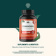 thumbnail image 2 of HONGO CORDYCEPS Life360+ 180 Cápsulas Suplemento Alimenticio, 2 of 7