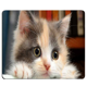 thumbnail image 5 of Alfombrilla para mouse con diseño de gatos - 9 modelos adorables, antideslizante para PC y MacBook (18x22 cm) - Suave y cómoda para gaming y trabajo, 5 of 6